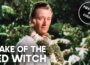 Wake of the Red Witch | JOHN WAYNE (1948)